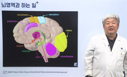 뇌과학연구 강의체험